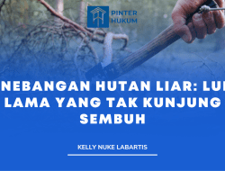 Penebangan Hutan Liar: Luka Lama yang Tak Kunjung Sembuh